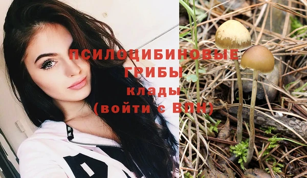 круглые Каменногорск