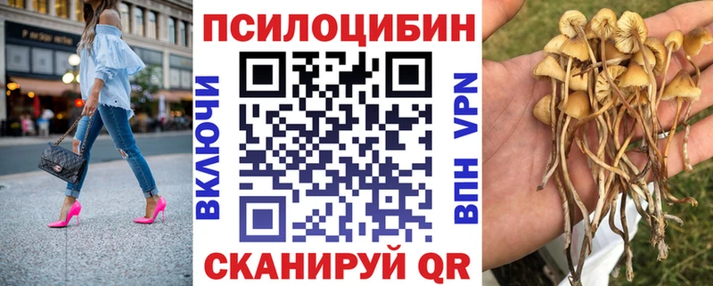 наркота  Ижевск  Псилоцибиновые грибы прущие грибы 