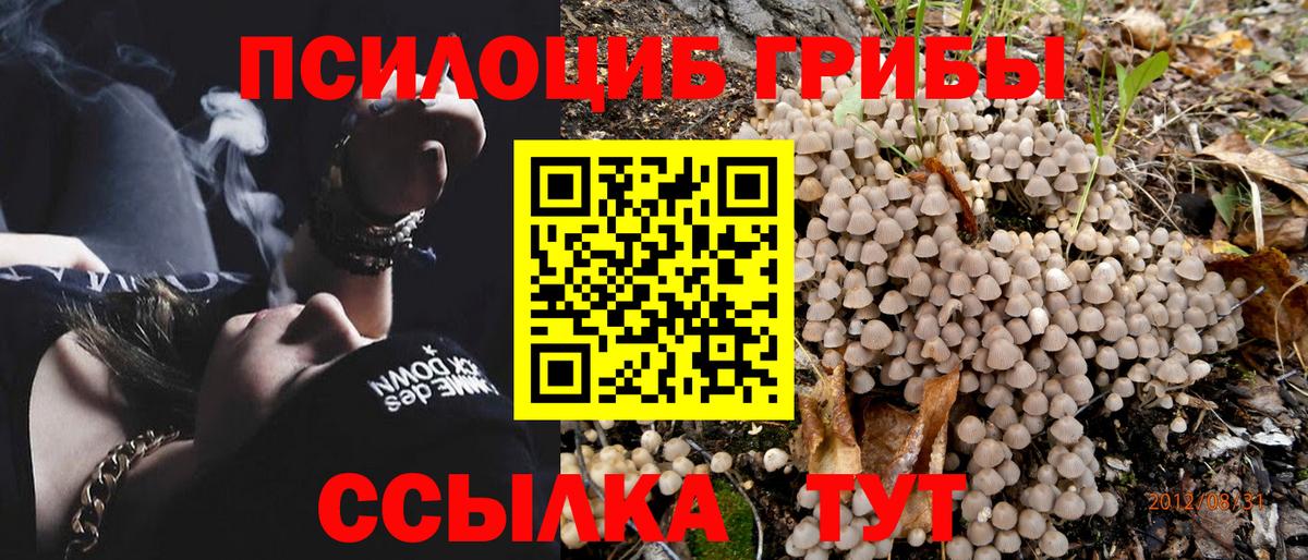 Галлюциногенные грибы мухоморы  Галлюциногенные грибы прущие грибы  Ижевск  Вход с VPN 