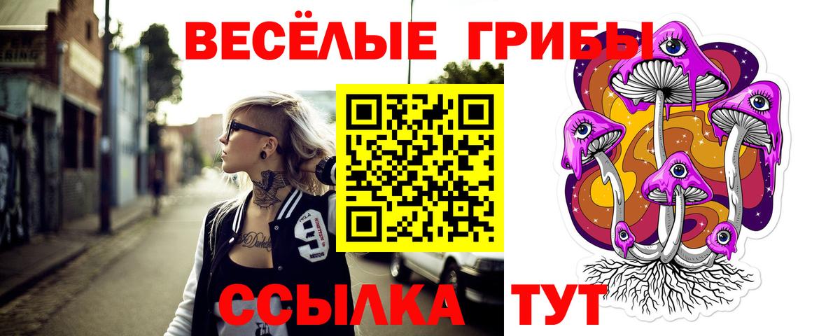 Псилоцибиновые грибы Psilocybe Ижевск